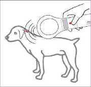 microchip.jpg